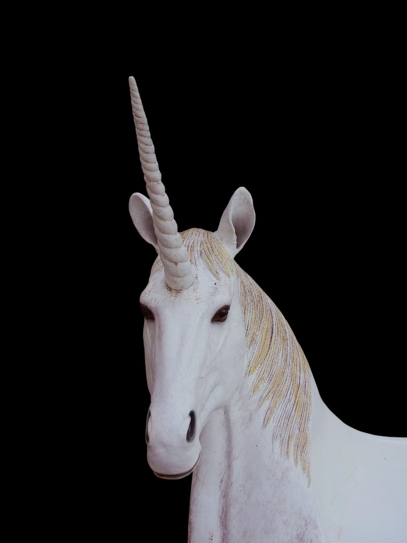 Unicorn Expeditions